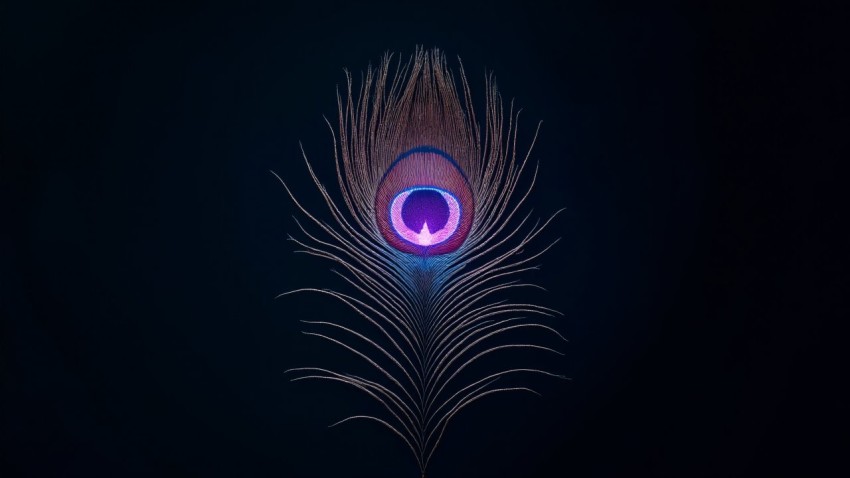 Peacock Feather with Glowing Circuitry and Microchip Eye