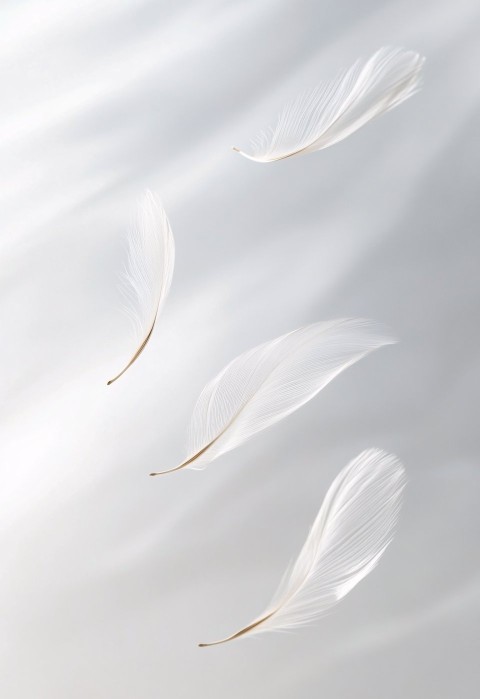 Wispy White Seeds Floating in Minimalistic Background