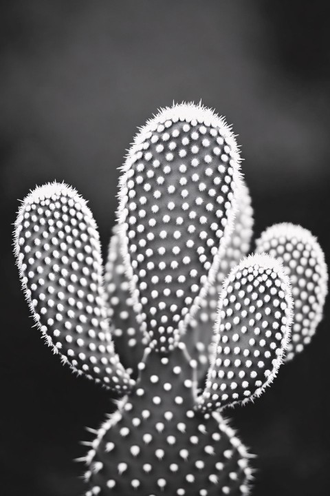 Quintessential Eldritch Cactus, High Contrast, Iridescent