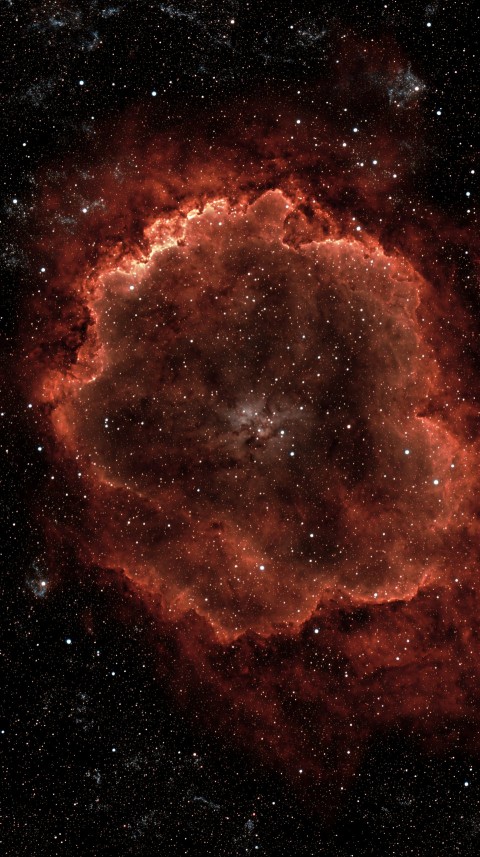 Phoenix Shaped Nebula in Cosmic Crimson Sky