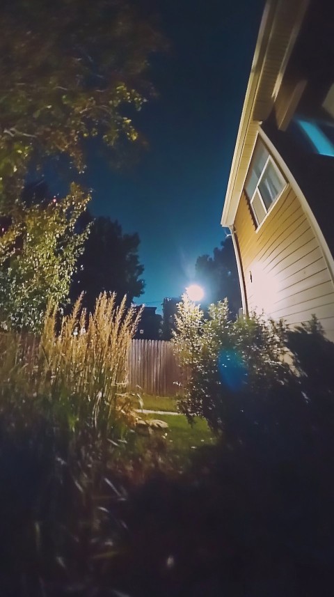 Old Security Camera Footage in Backyard at Night