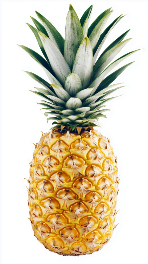 Fresh Pineapple on White Background