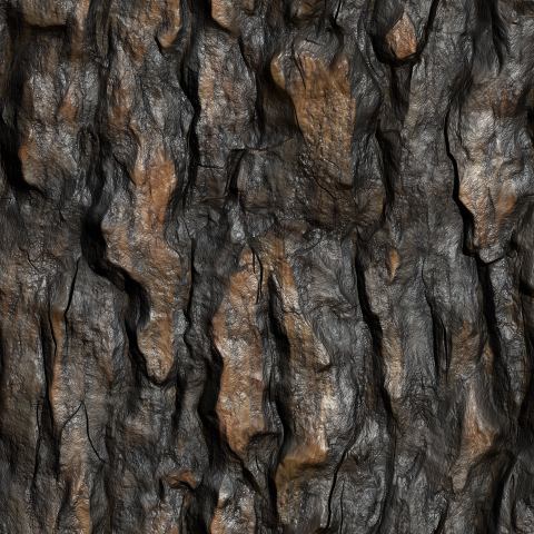 Close-Up of Rough Tree Bark Texture Natural Wood Surface