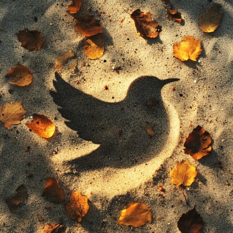 Bird Shape in Sand with Autumn Leaves